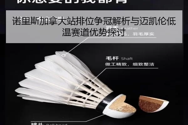 诺里斯加拿大站排位争冠解析与迈凯伦低温赛道优势探讨